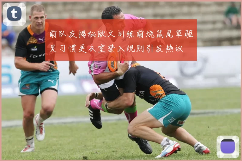 前队友揭秘欧文训练前烧鼠尾草驱灵习惯更衣室禁入规则引发热议