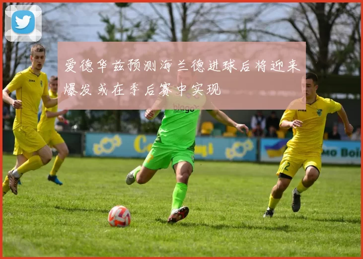 爱德华兹预测海兰德进球后将迎来爆发或在季后赛中实现